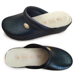 Ανατομικό Σαμπό