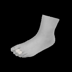 Σφυροδακτυλία